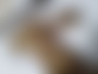 市内のパン屋さんのシュトーレン