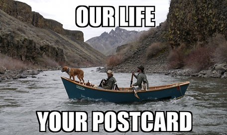 Our Life Your postcard meme.jpg