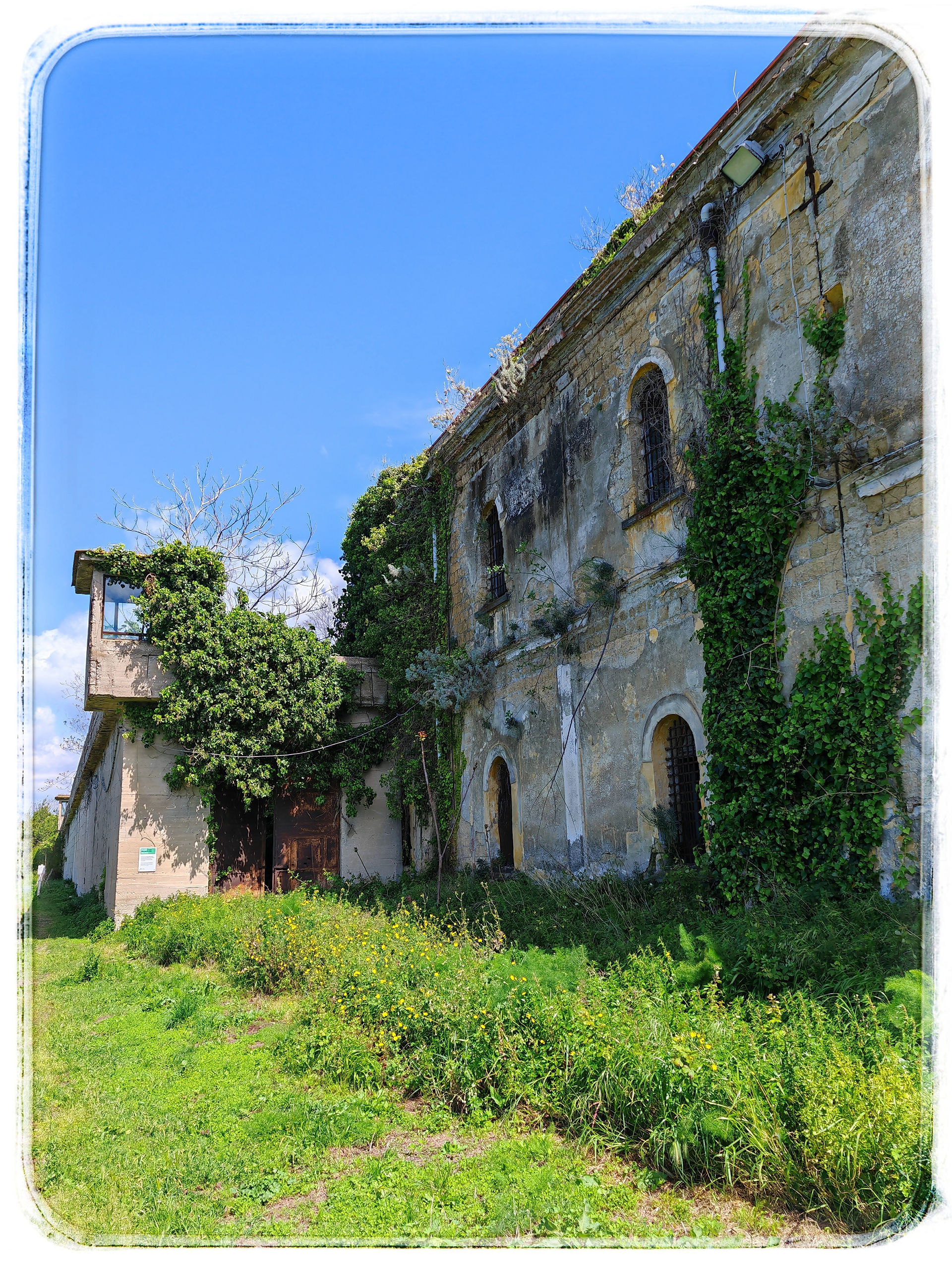 Procida