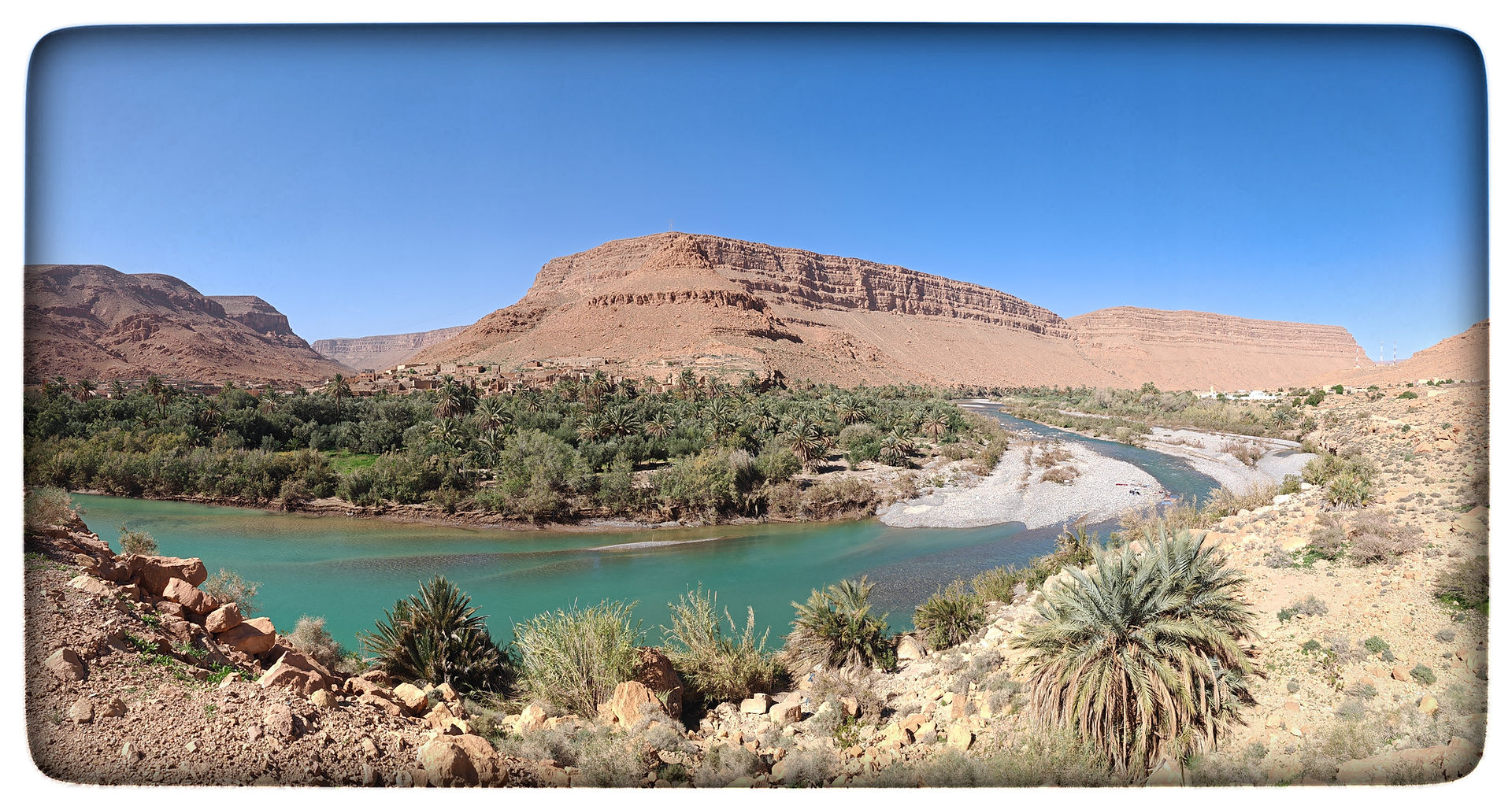 Ziz Tal