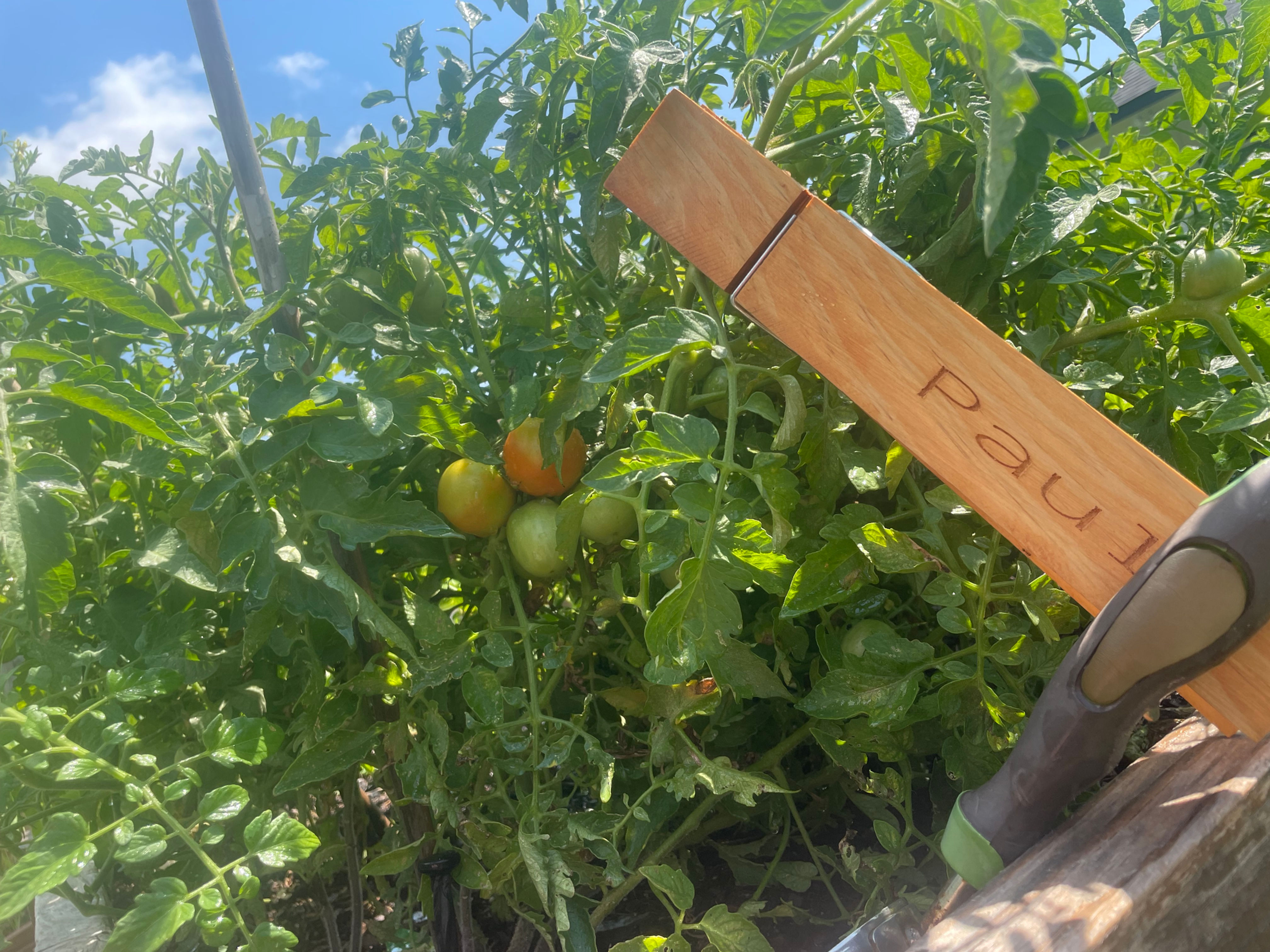 12" Monogrammed Clothespin