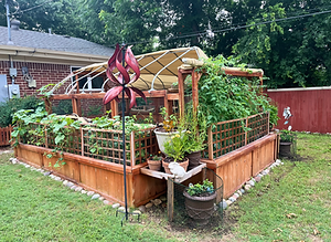 Designer Garden Box