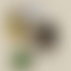 Branding Stories by Pink Pickle Studio