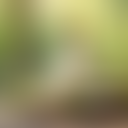 Discover aApakaja: The Ayurvedic Skincare Brand Embracing Nature and Wellness