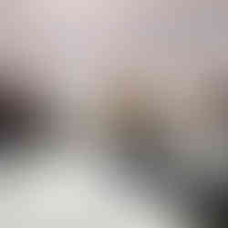 Course participants enjoying a coffee