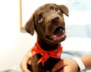 20170708_140614(0) (2).jpg