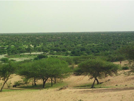 Top 5 Farms for Low-Rainfall Areas