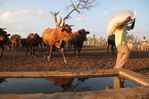 5 Proven Methods of Controlling Diseases on the Farm