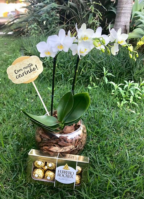 Supermercados Super Golff - Gosta de Flores? Então você não pode perder a nossa Feira de Flores de Holambra 💐🌾🌷🌹🌼🌸que vai acontecer de 24 a 26 de Outubro nas Loja da Rua