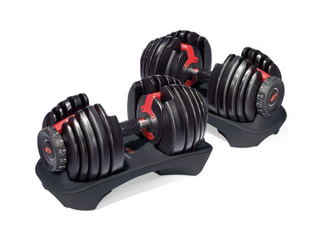 Bowflex SelectTech 552 Adjustable Dumbbells (Pair)