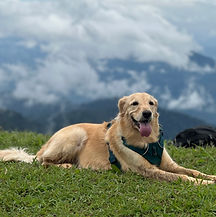 phiphi on top of a peak