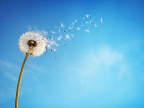 Time Moves On - Has Your Estate Plan?