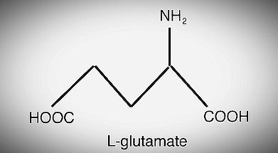 glutamate_edited_edited.jpg