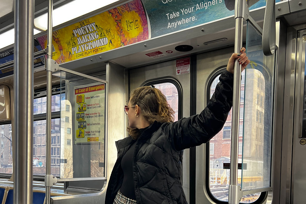 Inside a Chicago train