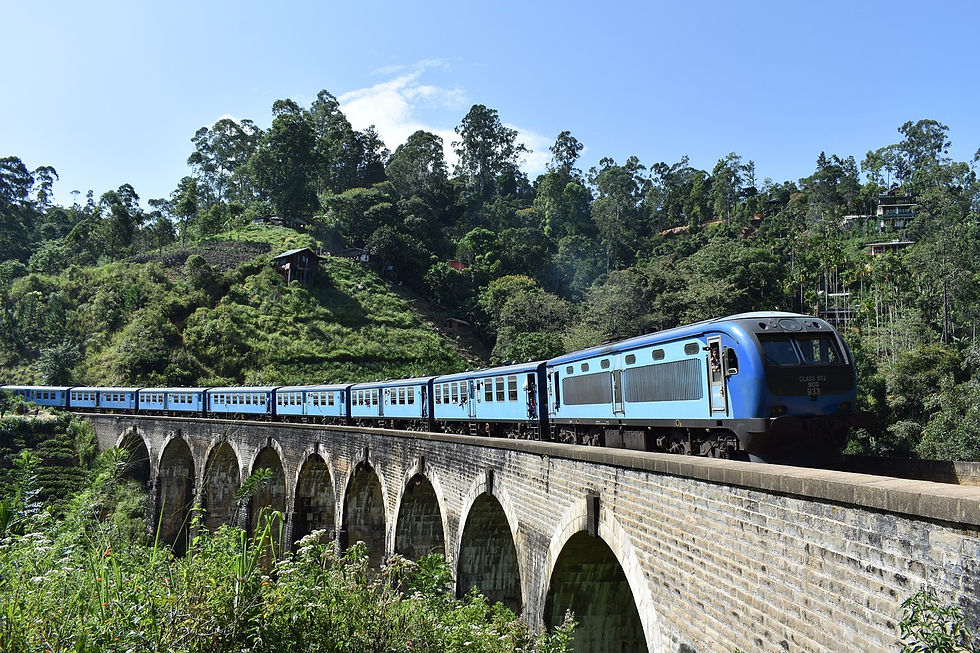 Train ride through Sri Lanka