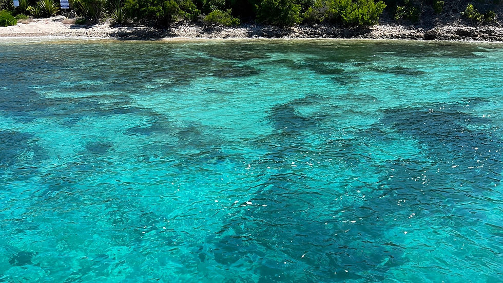 Crystal-clear blue ocean water at a beach in the Caribbean