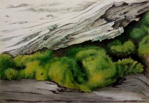 #18 NURTURING《 培植 》