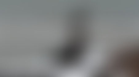 GREAT BLUE HERON WITH DRIFTWOOD