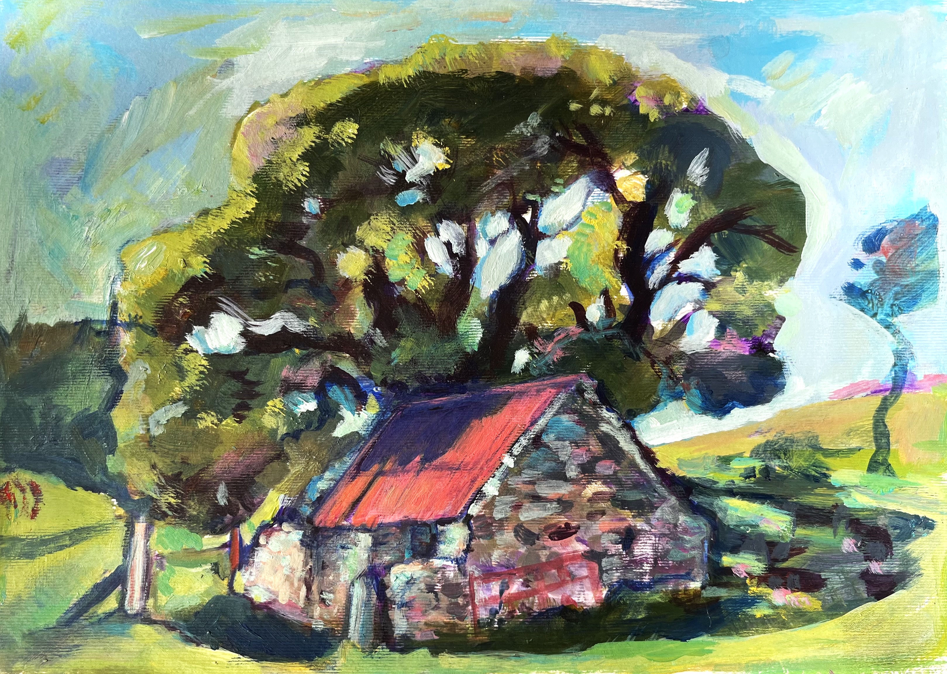 North Wales – Oak and Shed
