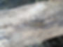 STONE 1.jpg
