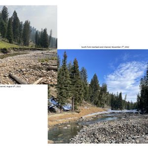 Southfork, Gallatin River, Westslope Cutthroat Trout habitat enhancement