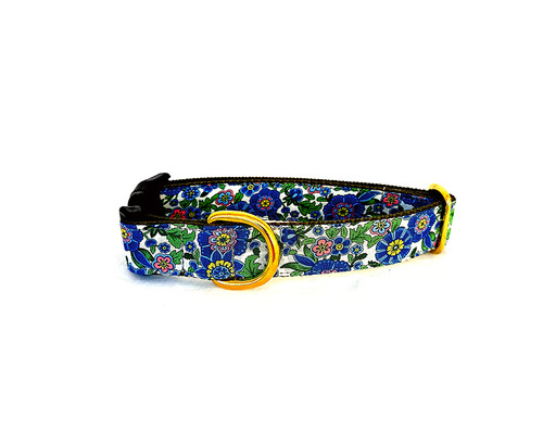 chaco dog collar amazon