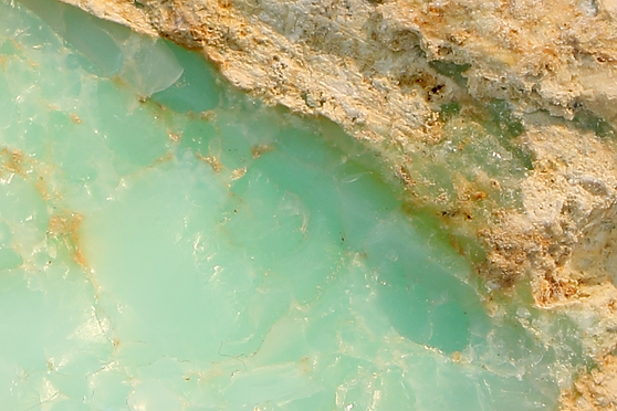 opal.png