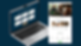 “Looks very scammy. Unrefined” (81).png