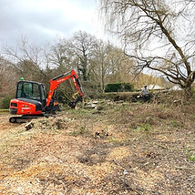 Site Clearance