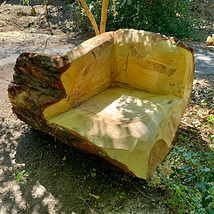 Tree and Seat Carving
