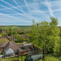 Tree Canopy Reduction