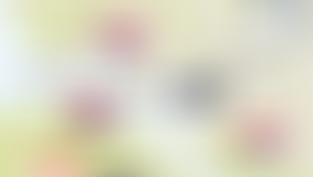 Neum - L'unico sbocco sul mare della Bosnia-Erzegovina