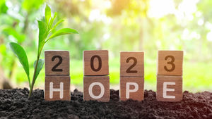 TSRG Annual Letter 2023