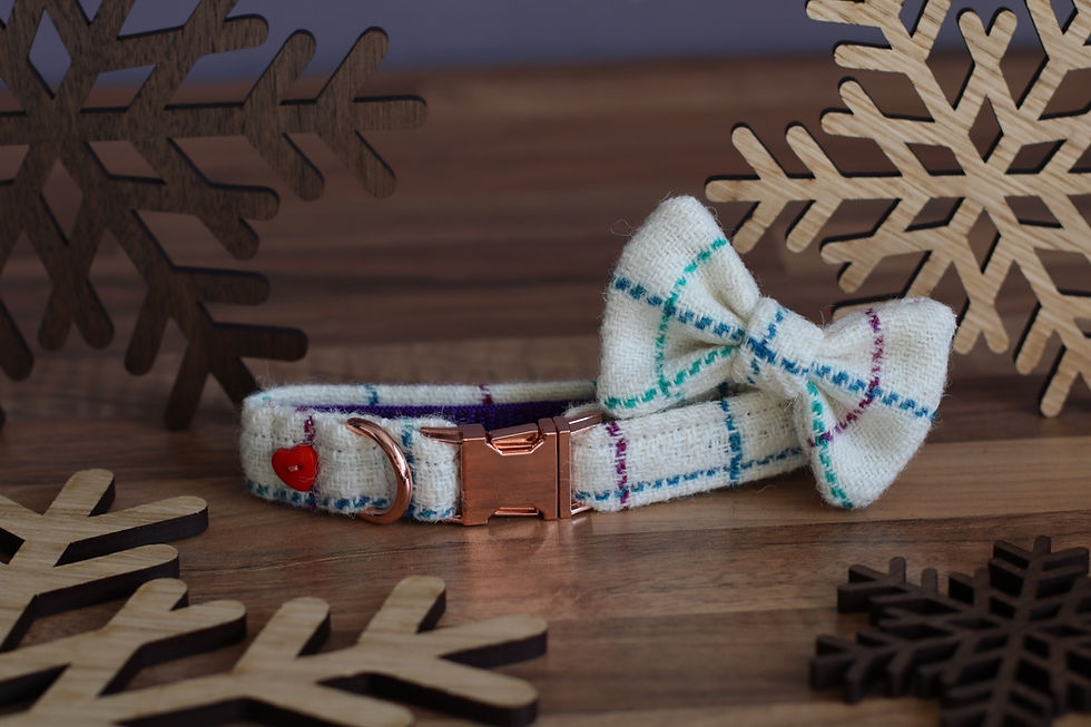 The Winter Wonderland