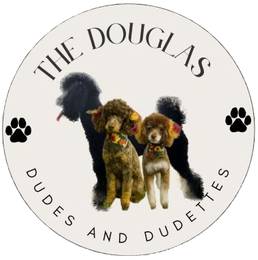 The Douglas Dudes logo