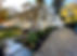 IMG_1915.JPEG