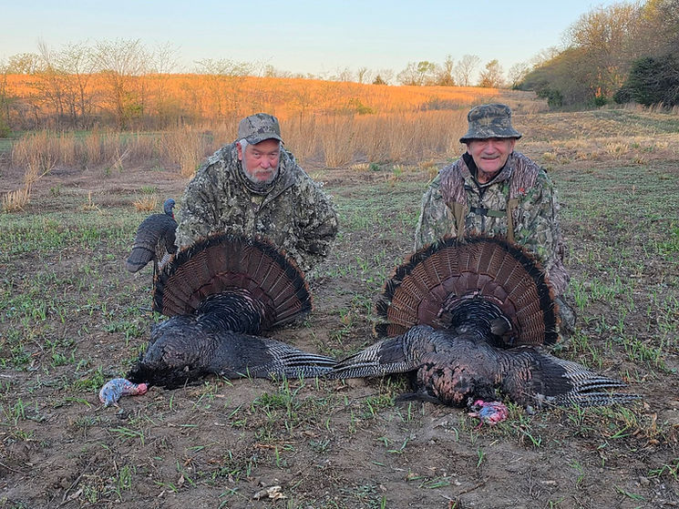 turkeys1.jpg