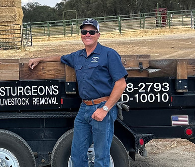 ted sturgeon - sturgeon's livestock removal service