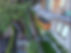 IMG_1677.JPEG