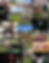 Background.png