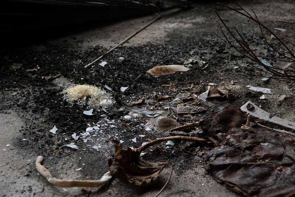 “time in a dream” (installation view)