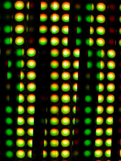 “Stripe(50Hz) 2021/03/27 15:36:45 shibuya-ku”