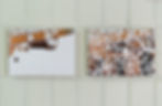 Potograph series
