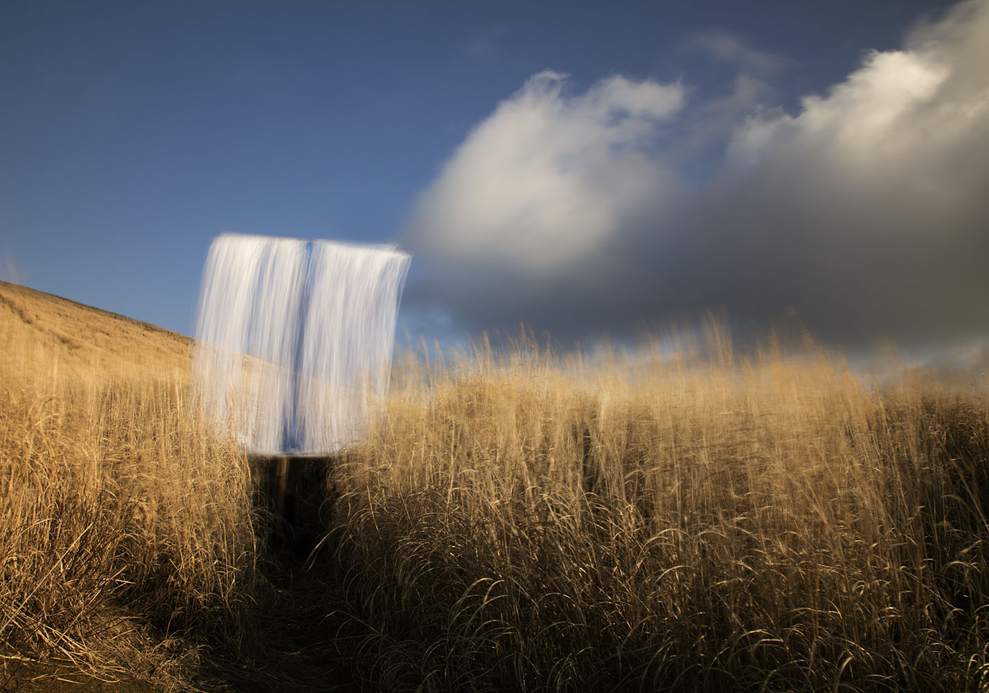 “Landscape with a Blue Line Curtain”