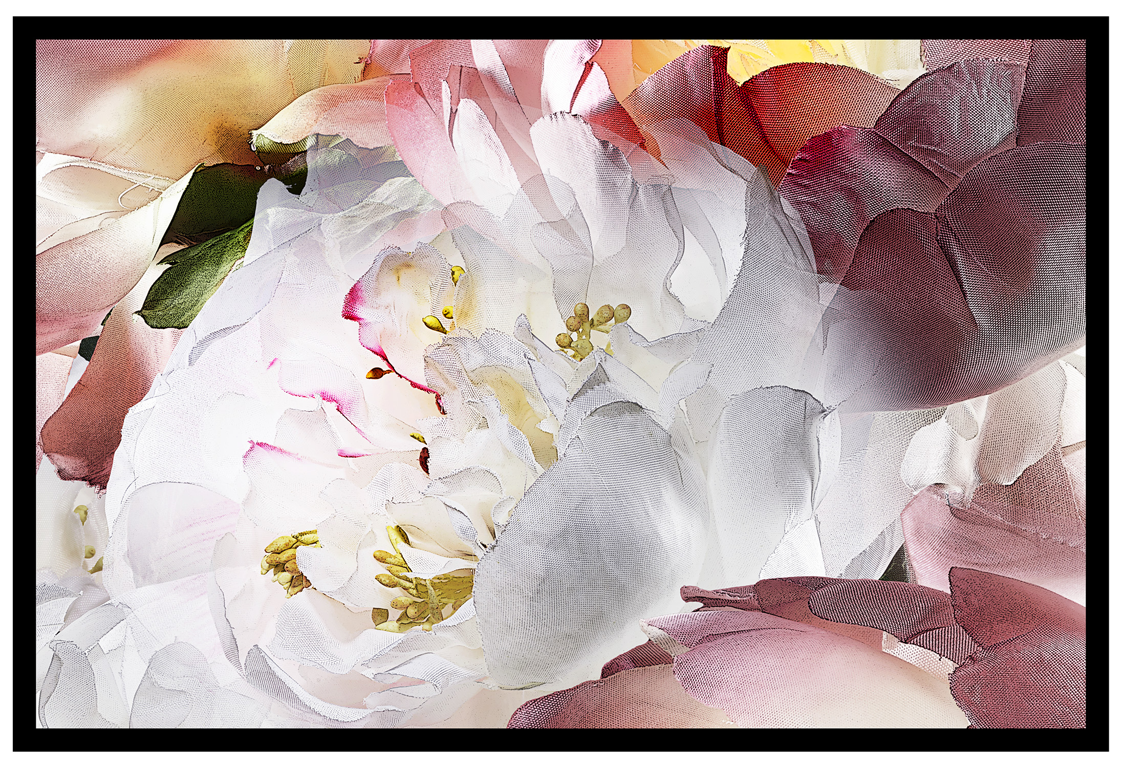《Peony-A_a2》
