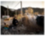 From the series, “The Tide’s Gift”