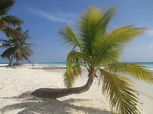 isla Saona.JPG