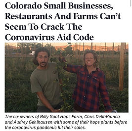 News Article