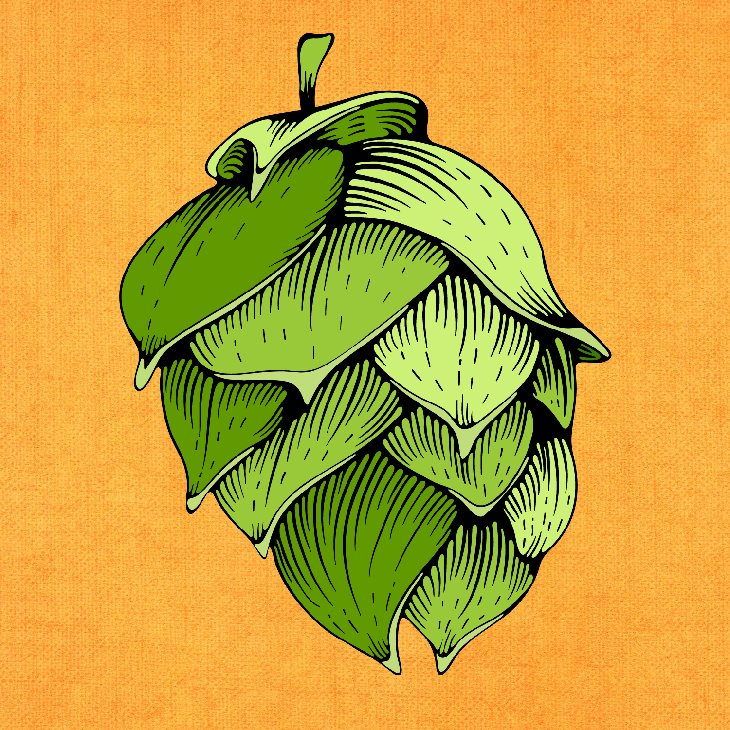 hop illustration