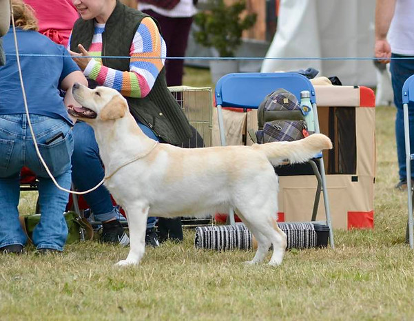 trudi driffield.jpg